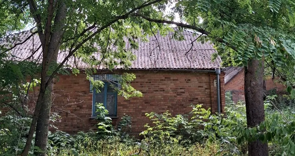 Listopadówka Listopadówka